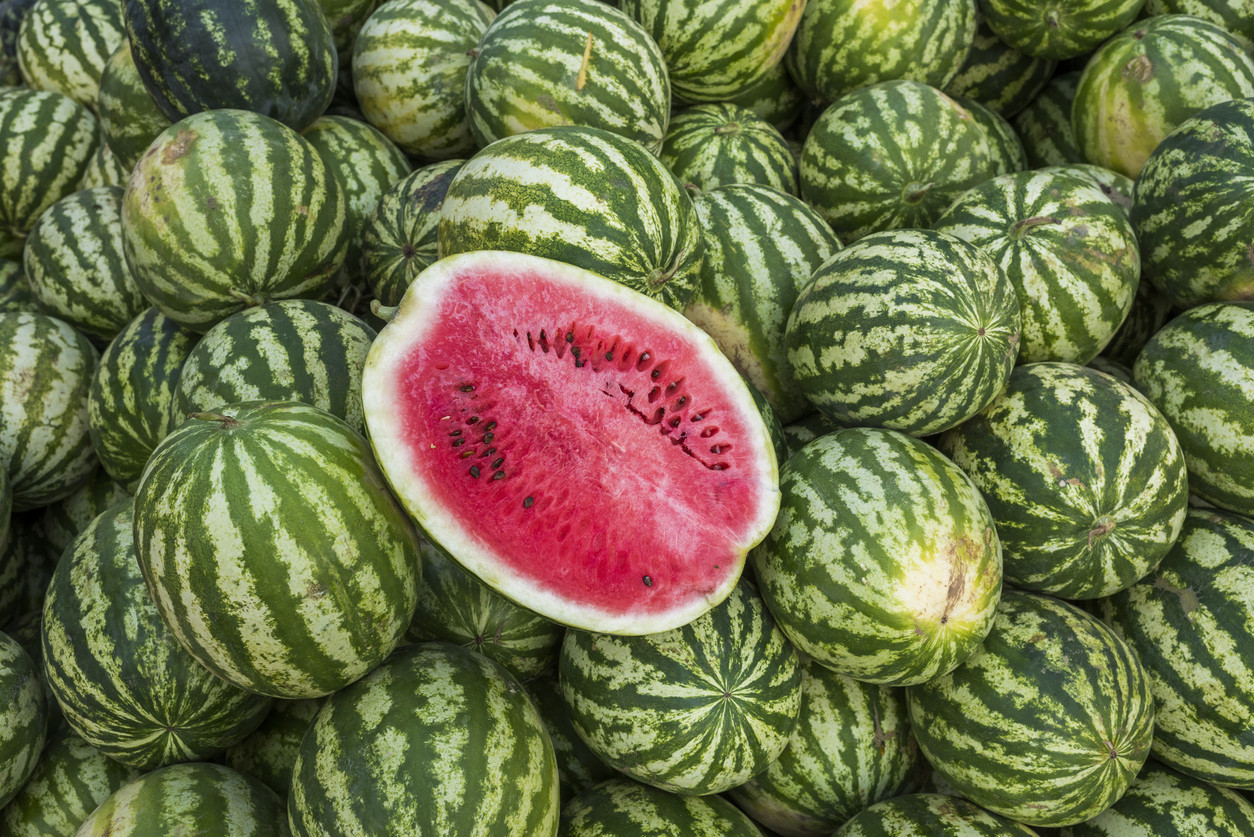 Was ist ein Wassermelonenprojekt?